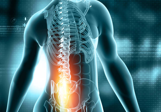 rebel chiropractic
